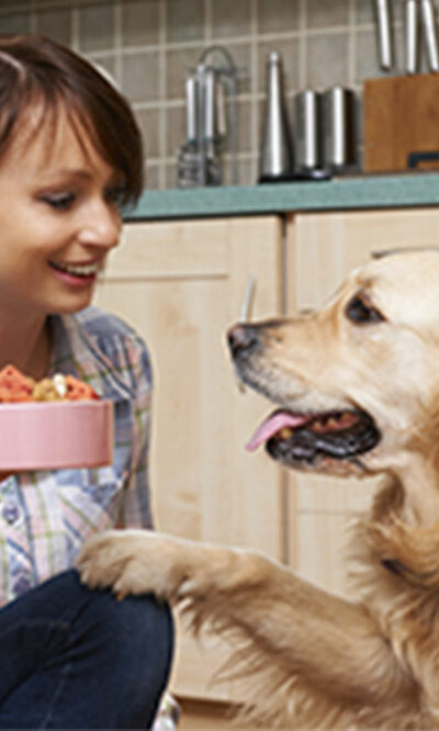 4 things to remember while shopping for dog food