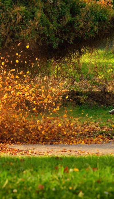 A Brief Guide To Buying A Leaf Blower