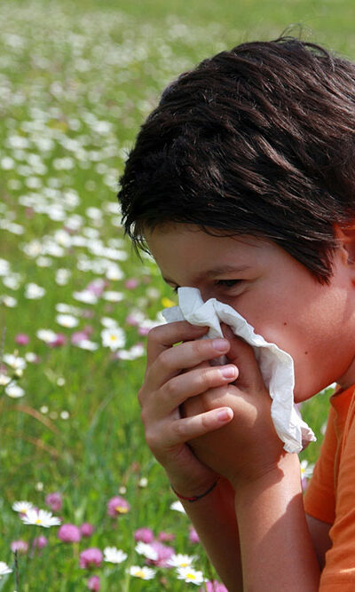 A Guide to Pollen Allergies