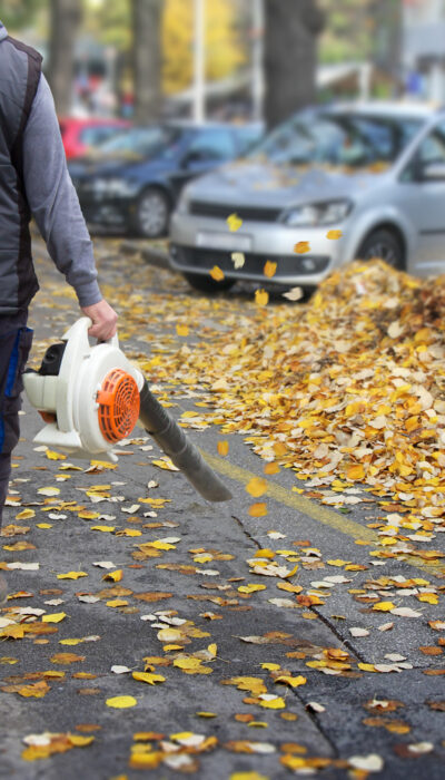 A Glance At The Best Leaf Blowers In 2018