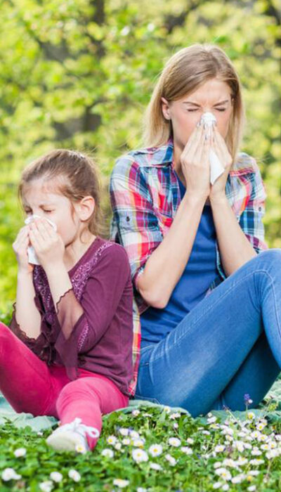 All You Need to Know about Pollen Allergy