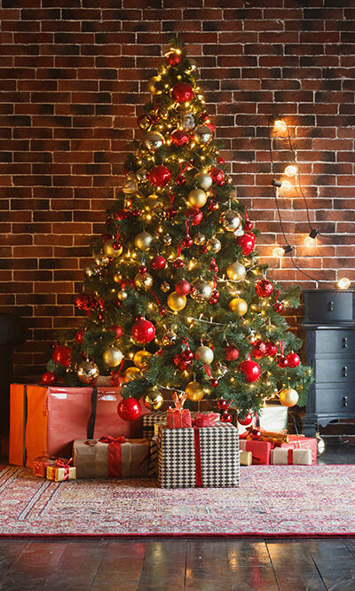 All things Christmas &#8211; Ideas for trees, gifts, and more