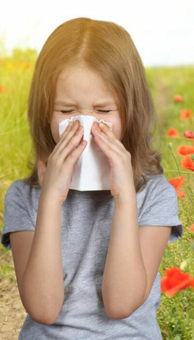 Best Seasonal Allergy Medicines to Keep Allergies at Bay