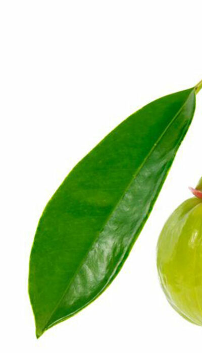 Garcinia &#8211; A simple fruit with numerous health benefits