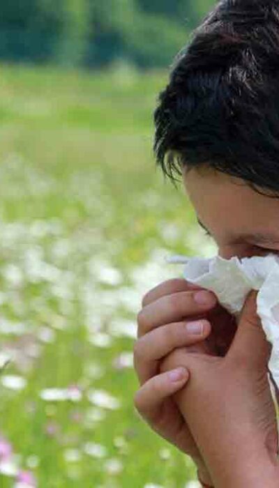 Everything You Need to Know about Pollen Count