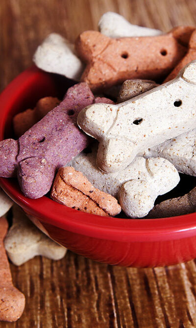 Factors to consider while picking healthy dog food