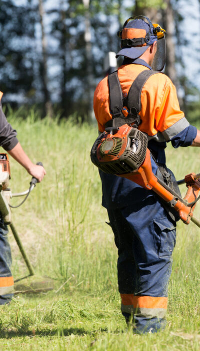 Features Of Different Types Of Weed Trimmers