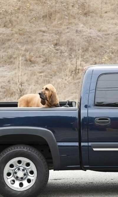 Features of the Toyota Tundra that make it a popular choice