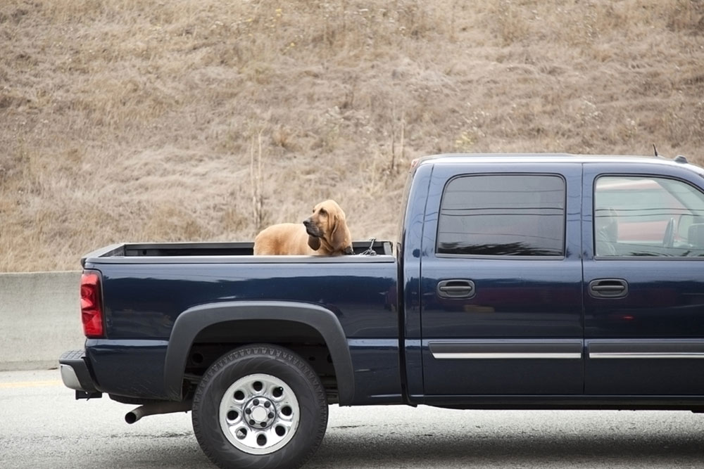 Features of the Toyota Tundra that make it a popular choice