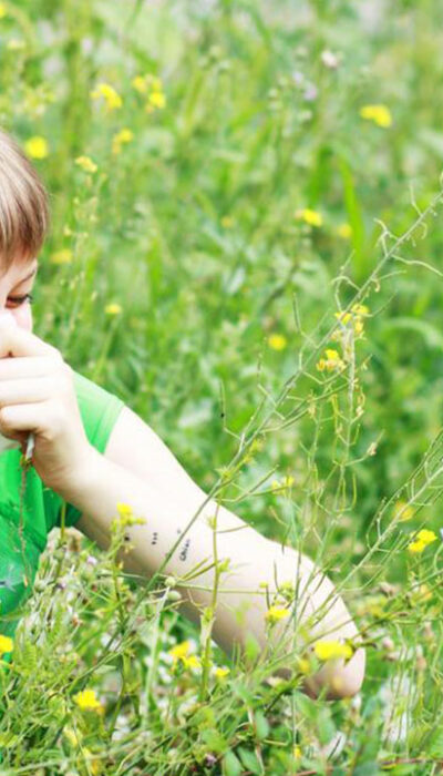 Simple and Easy Remedies for Seasonal Allergies