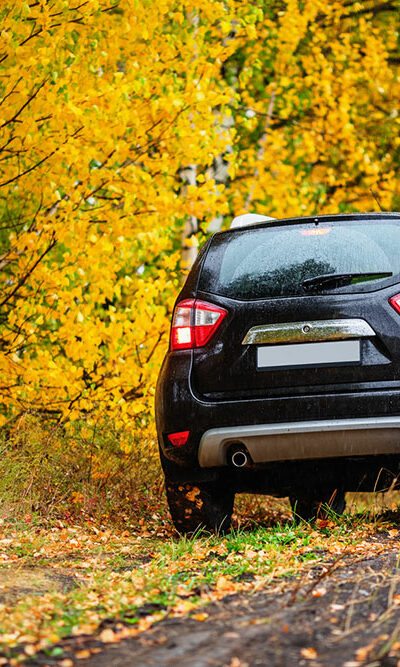 Reasons to check out the 2020 Nissan Rogue