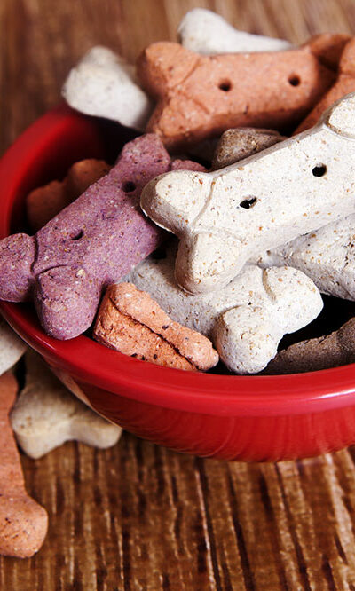 Top 5 best dry pet food brands for dogs