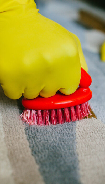 The Best Carpet Stain Removers For Your Home And Office