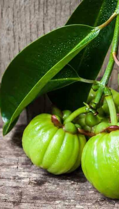 Things You Need to Know about Garcinia Cambogia