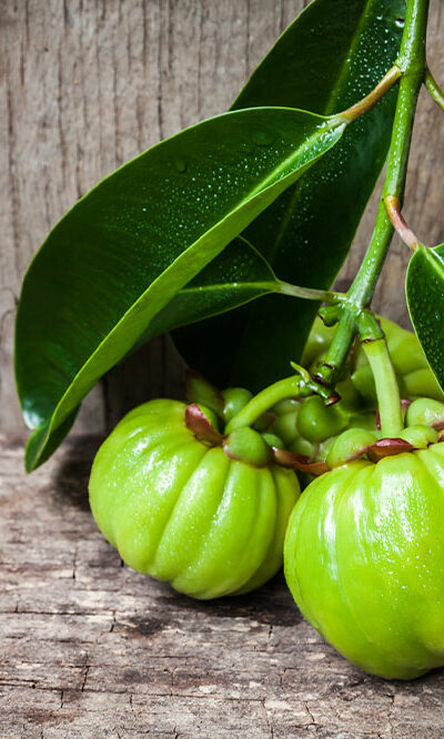 A Brief Overview of Garcinia Cambogia