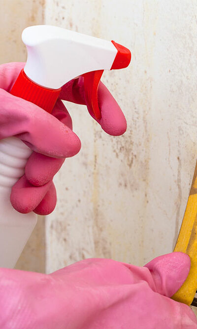 Easy Ways to Get Rid of Black Mold