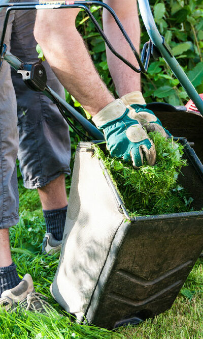 12 Things to Know Before Choosing a Lawn Care Service