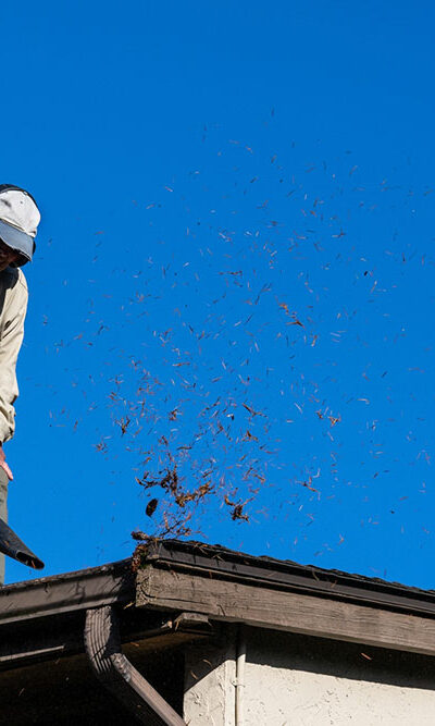 Top 6 Leaf Blowers for Gutter Cleaning