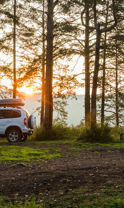 7 Ultimate Camping SUVs for Off-road Adventures