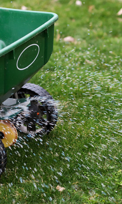 A Brief Guide to Fertilizing Bermuda Grass