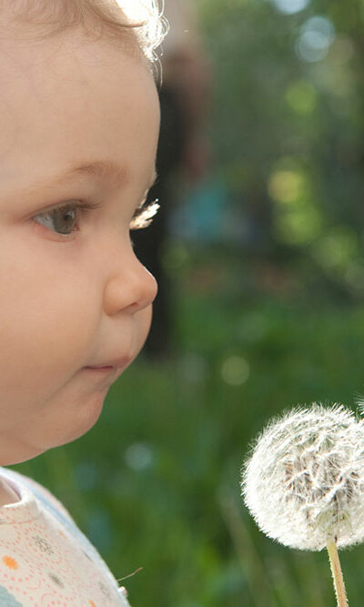 9 Ways to Get Rid of Dandelions Quickly