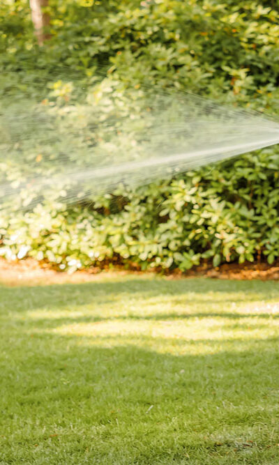 Types of Grass Fertilizers and Tips to Choose the Right One