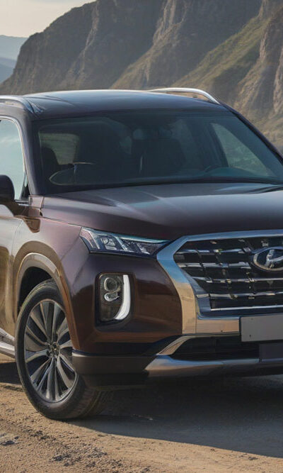 Hyundai Palisade &#8211; Notable Features and Cost